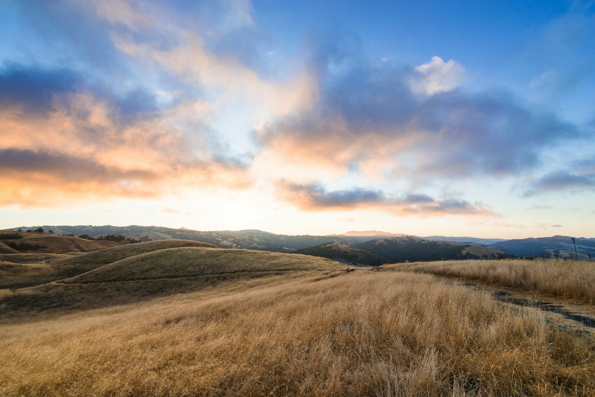 Golden grassy hills under a pink and blue sunset sky