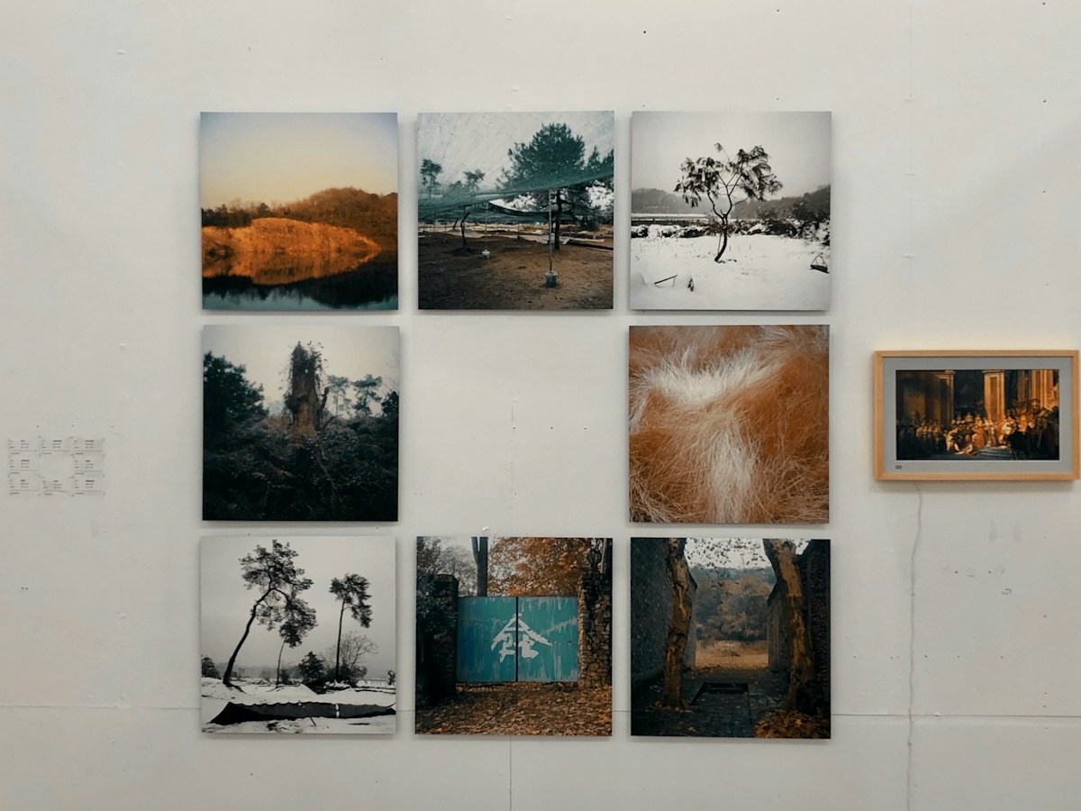 Complete Stock Photo Library (Extended Licence)